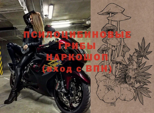 ПСИЛОЦИБИНОВЫЕ ГРИБЫ Аркадак