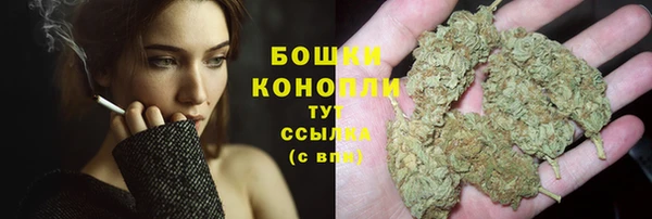 ПСИЛОЦИБИНОВЫЕ ГРИБЫ Аркадак
