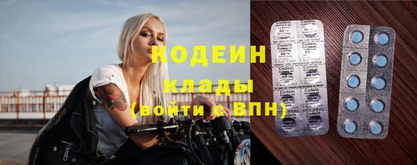 молекула духа Арсеньев