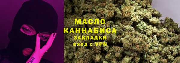 молекула духа Арсеньев