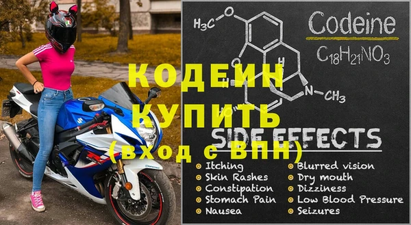 молекула духа Арсеньев